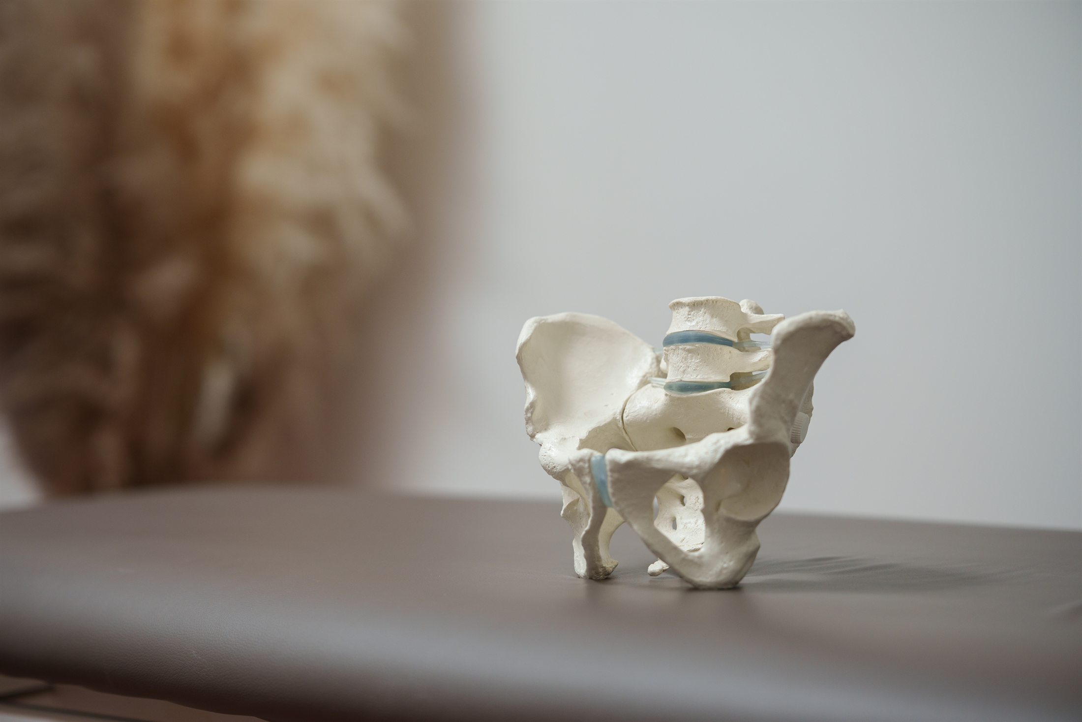 Fizjoterapia uroginekologiczna – terapia dna miednicy Euromedyk